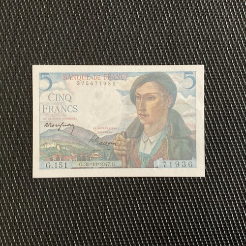 France francs berger - 5,